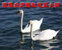 花大价钱买进口医疗设备，是不是冤枉钱？，很多人第一步就错了